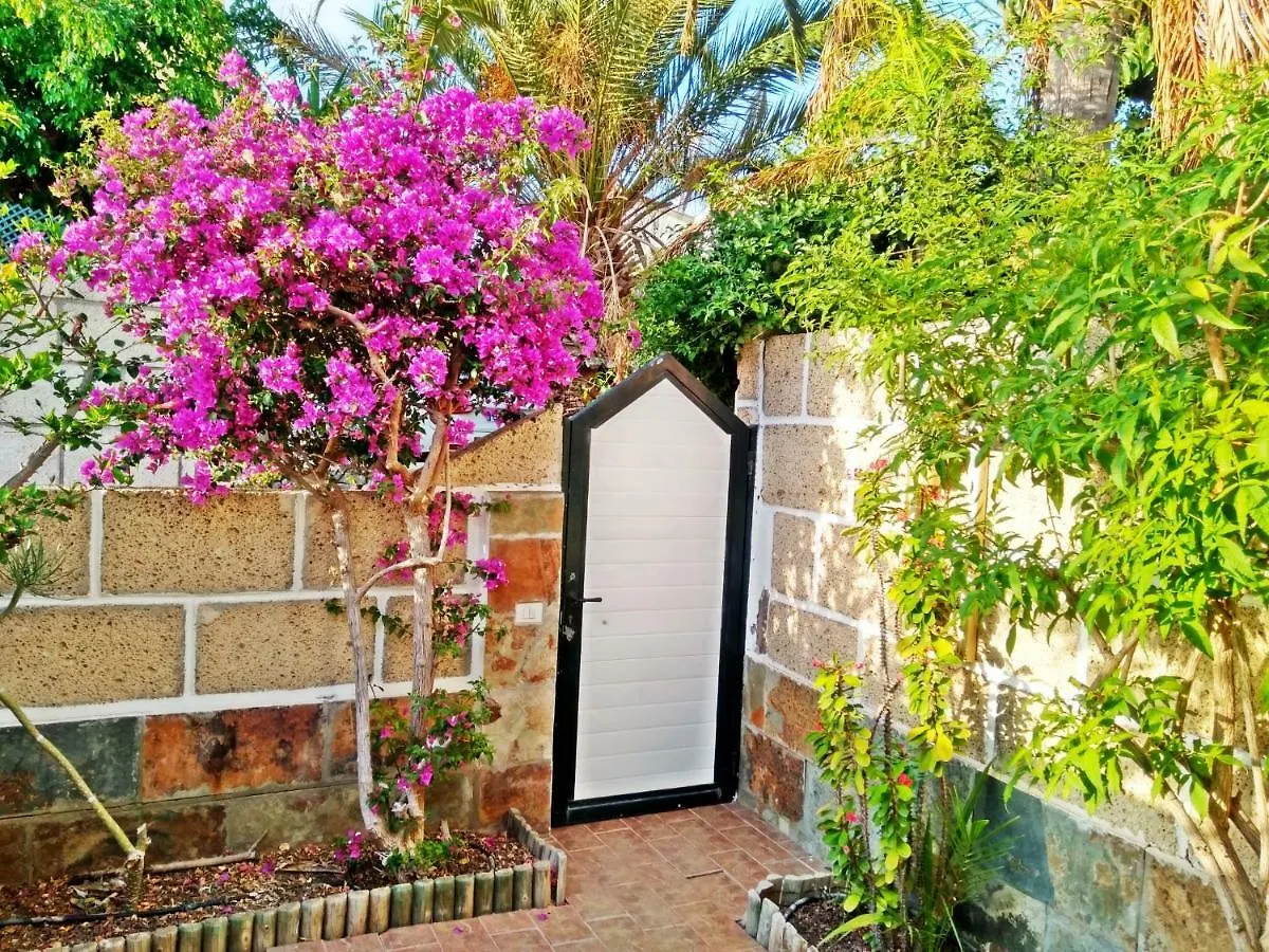 Casa Sarita - Farbenfrohes Ferienhaus Chayofa Apartment